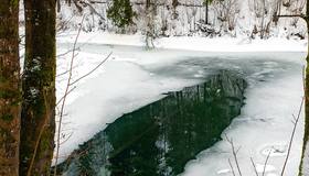 В Ленобласти воздух местами прогреется до +12 градусов, сообщают синоптики