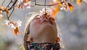 Петербург продолжает бить температурные рекорды: 12 марта воздух в городе прогрелся до +12,5 градуса. 