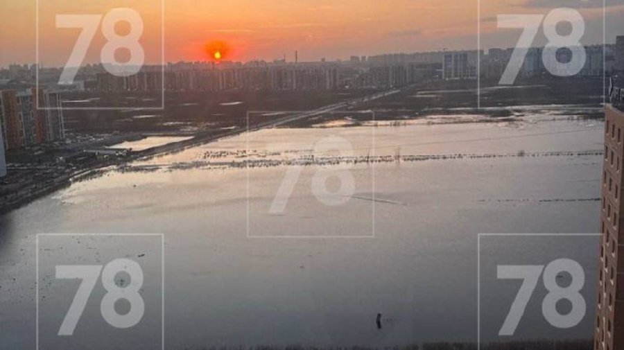 Самую большую лужу этой весны нашли в Мурино — она похожа на озеро