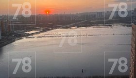 Самую большую лужу этой весны нашли в Мурино — она похожа на озеро