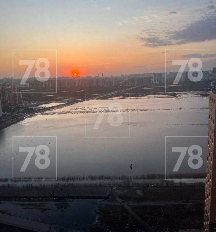 Самую большую лужу этой весны нашли в Мурино — она похожа на озеро