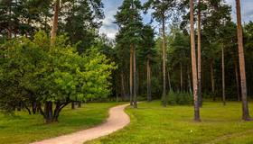 Вокруг Петербурга утверждён «зелёный пояс» площадью 170 тысяч гектаров