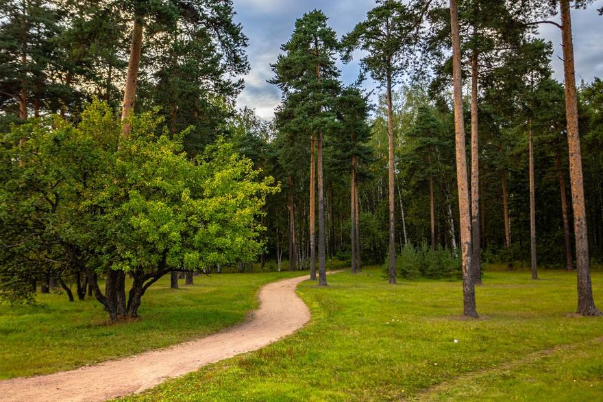 Вокруг Петербурга утверждён «зелёный пояс» площадью 170 тысяч гектаров
