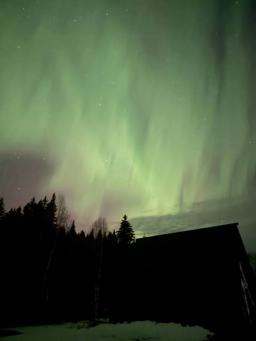 Сегодня ночью Петербург и Ленобласть окрасило северное сияние, видное даже в черте города. 
