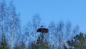 Красавцев-аистов замечают в Ленобласти на протяжении последних дней.