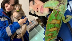 Обезьянка и игуана встречали медиков в квартирах пациентов во Всеволожске.