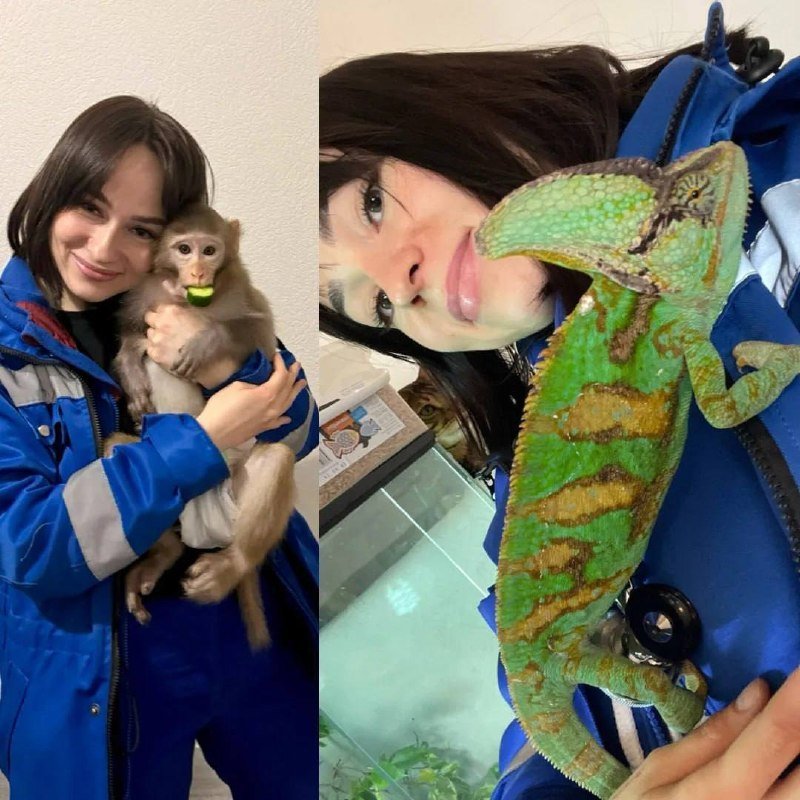 Обезьянка и игуана встречали медиков в квартирах пациентов во Всеволожске.