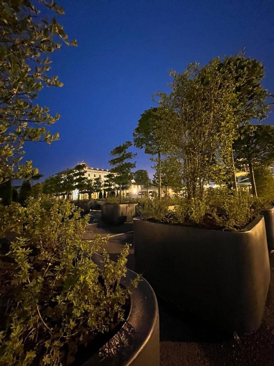 На Васильевском острове появятся «сады‑трансформеры» и новый бульвар