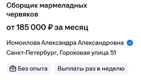 В Петербурге объявлен набор сборщиков мармеладных «червячков» с зарплатой от 185 тысяч рублей в месяц.  