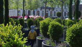 Этим летом на Исаакиевской площади появится сад-трансформер