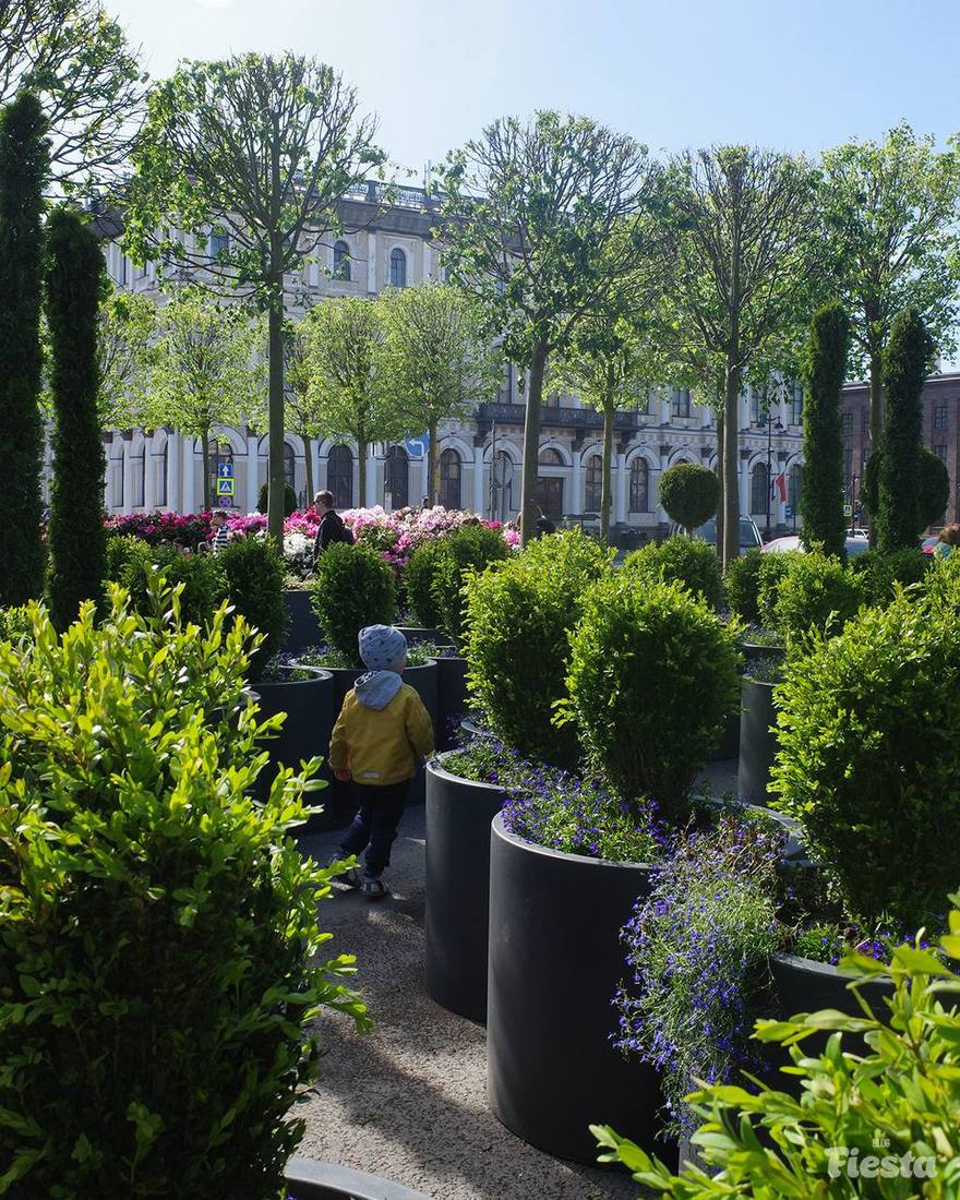 Этим летом на Исаакиевской площади появится сад-трансформер