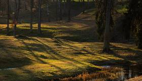 До +16 градусов потеплеет в воскресенье в Ленобласти.