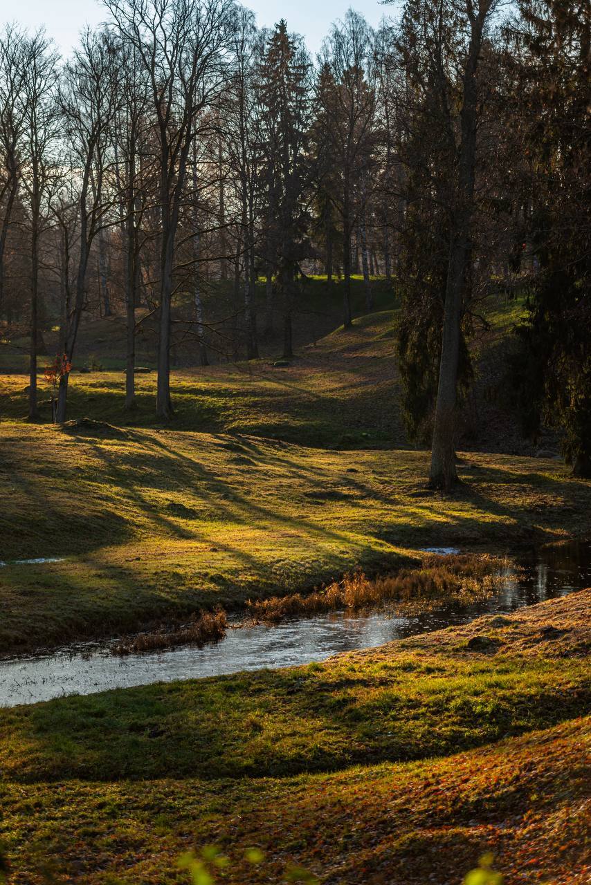 До +16 градусов потеплеет в воскресенье в Ленобласти.