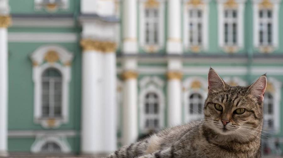 Март в Петербурге стал самым тёплым за всю историю метеонаблюдений — сообщают синоптики