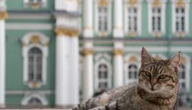 Март в Петербурге стал самым тёплым за всю историю метеонаблюдений — сообщают синоптики