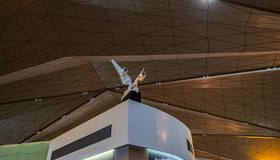 Пулково переходит на роботов — ну, почти