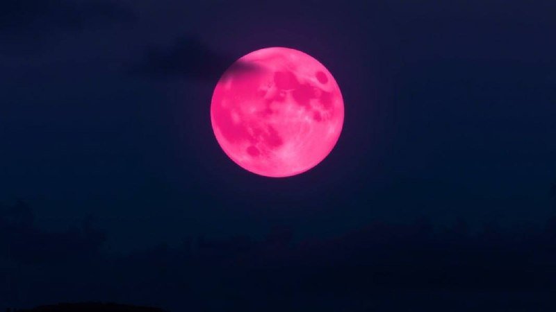 Сегодня ночью над Россией взойдёт «Розовая Луна», — СМИ.