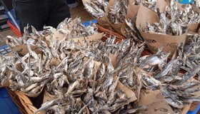 Фестиваль «Корюшка идет!» 