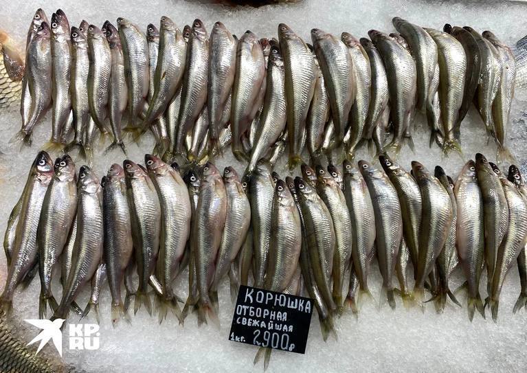 На прилавках Сытного рынка появилась первая корюшка. Цена вопроса — 2900 рублей за килограмм. 