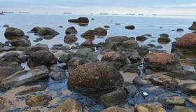 В Финском заливе устраняют масштабный разлив нефтепродуктов