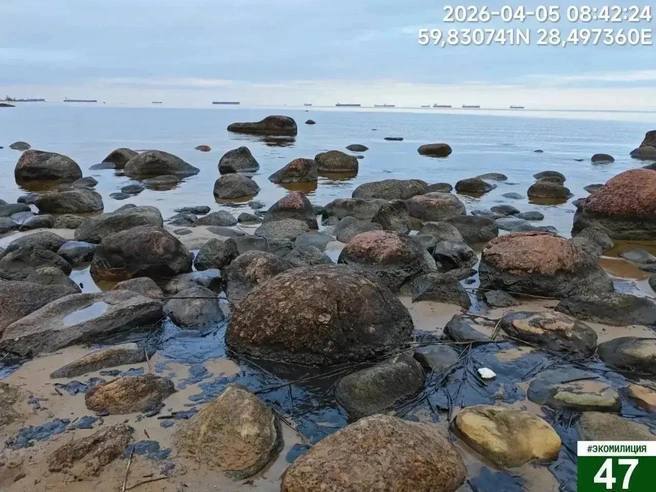 В Финском заливе устраняют масштабный разлив нефтепродуктов