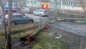 Мощный ветер валит всё на своём пути в Петербурге. Последствия — на фото.