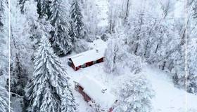 Уединённый домик в Финляндии продают по цене небольшой квартиры в Рыбацком.