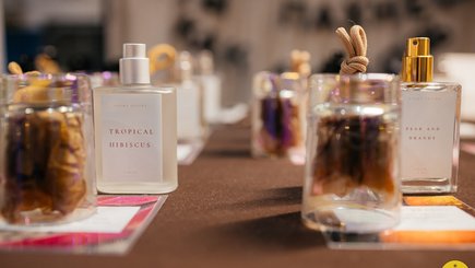 Весенний фестиваль «Петербургская ярмарка»  — фото 8