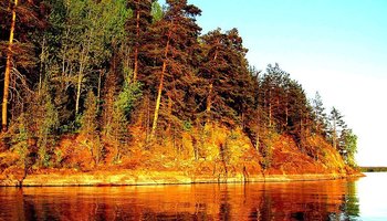 Царство лишайников в Карелии