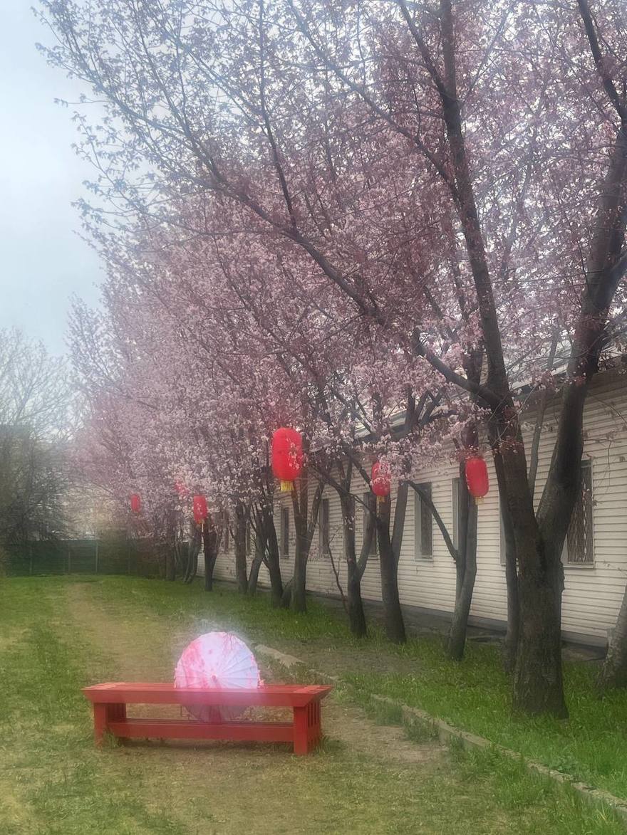 Ловите секретный адрес с цветущей сакурой: Московский проспект, 189