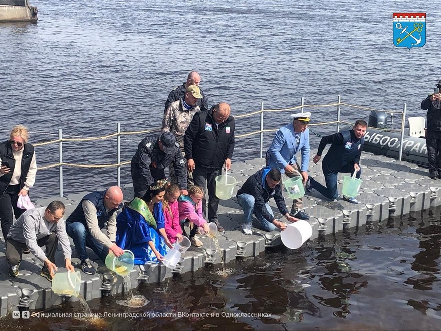 Фестиваль «Корюшка идет!»