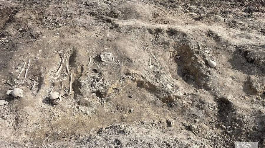 В Ленинградской области обнаружено массовое захоронение мирных жителей, ставших жертвами нацистских карателей в годы Великой Отечественной войны. 