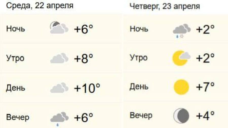Зима пробует зайти в гости: в Питере ожидается мокрый снег