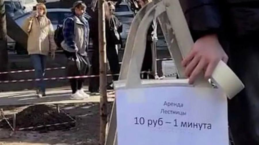 В Саду Дружбы предприимчивая девочка открыла «платную смотровую площадку»