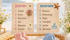 Имена София и Михаил стали абсолютными лидерами среди новорождённых в Ленобласти