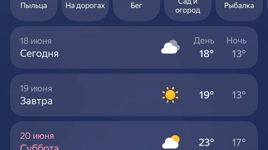 Лето в Петербурге набирает обороты