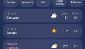 Лето в Петербурге набирает обороты