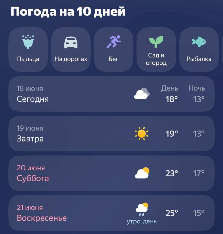 Лето в Петербурге набирает обороты