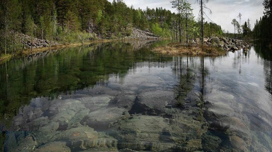 Вепсский лес
