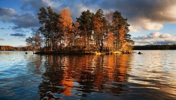 Надо знать: природа под Петербургом