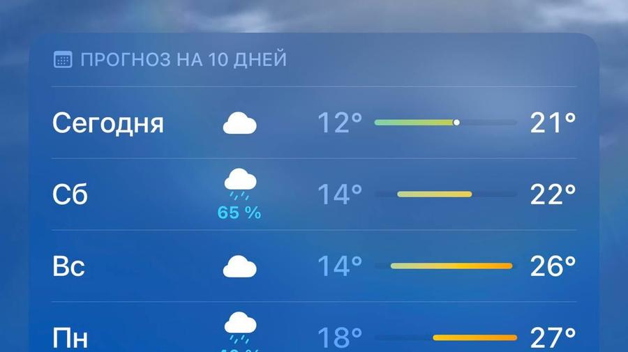 Адская жара до +27 градусов надвигается на Петербург, — синоптики