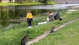 В Царском Селе усатые инспекторы перешли на усиленный режим и установили круглосуточный пост прямо у удочек местных рыбаков.