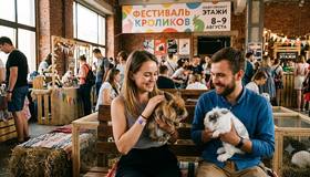 В Петербурге пройдёт Фестиваль кроликов