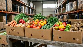 В Петербурге запустили новую сеть продуктовых дискаунтеров «Золотой ключик»