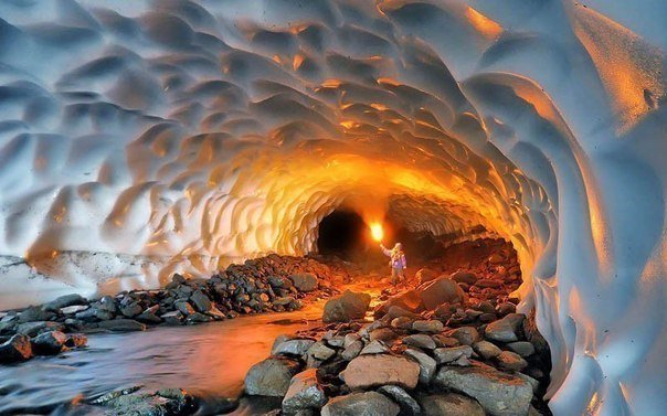 Планы на июль: 10 лучших выставок