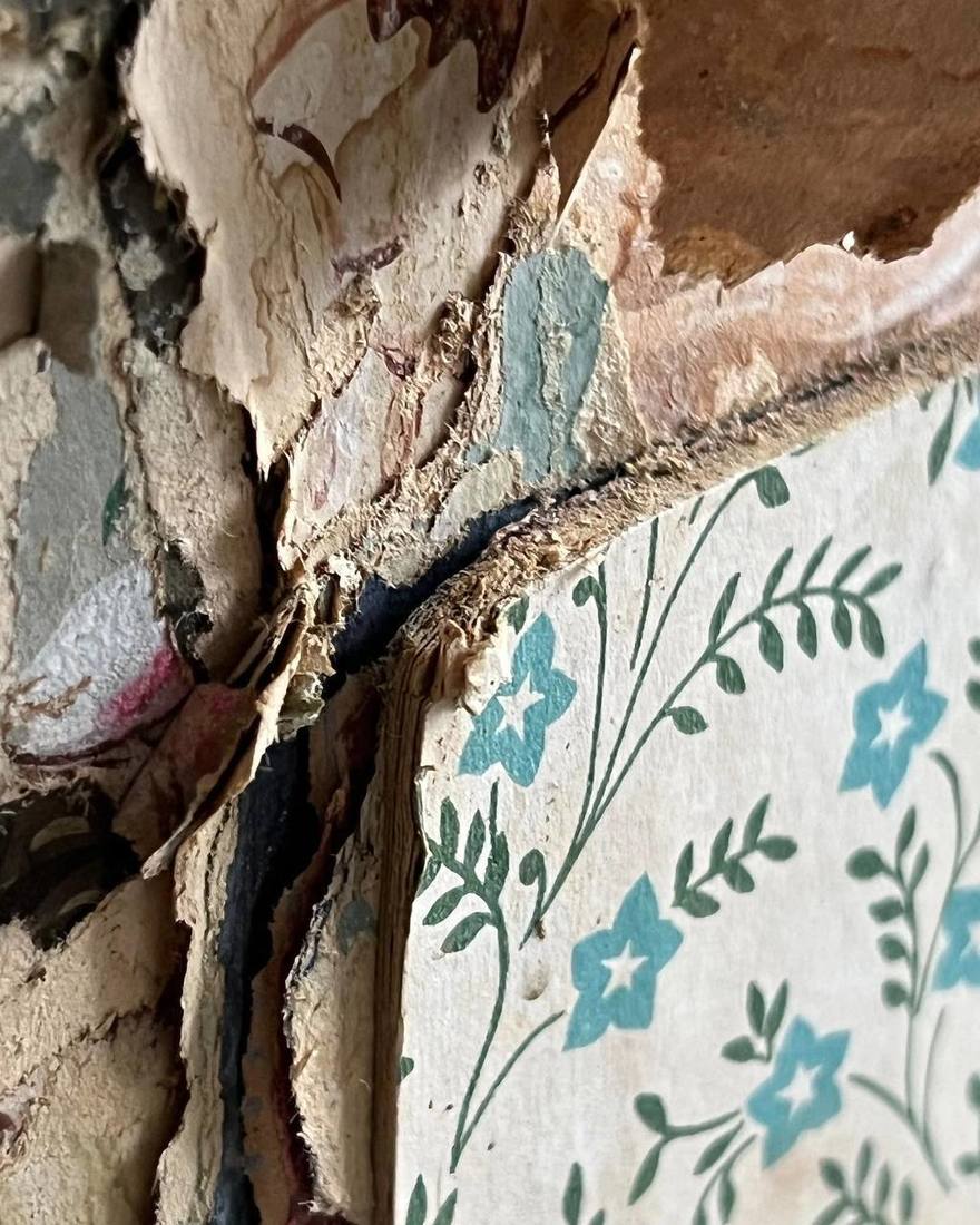 В петербургской квартире обнаружили 140-летние обои