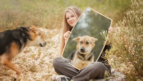Всероссийский фотопроект о любви к животным «Я буду твоим лучшим другом»