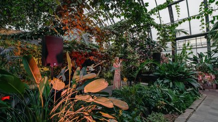 «Русские Музыкальные Сезоны» представляют: концерт «Музыка в Оранжерее Таврического сада» — фото 13