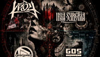 DROP FEST Mezzo Forte