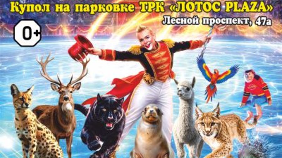 цирк на льду